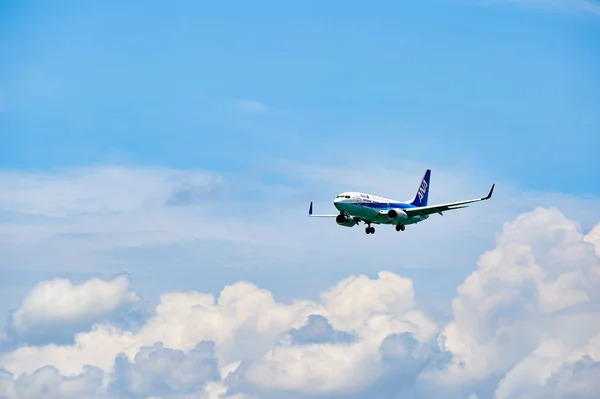 Ana 航空機の着陸 — ストック写真