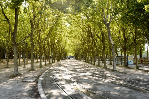 Street of Bordeaux, France — Stock Photo, Image