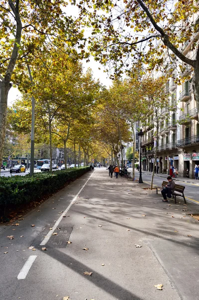 Barselona Caddesi, İspanya — Stok fotoğraf