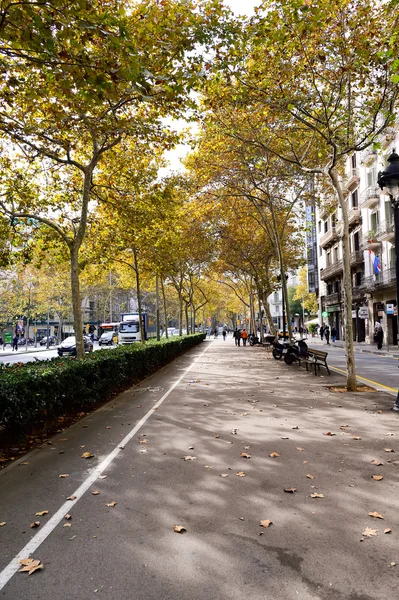 Barselona Caddesi, İspanya — Stok fotoğraf