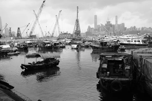 Causeway Bay Typhoon Shelter — Stock Photo, Image