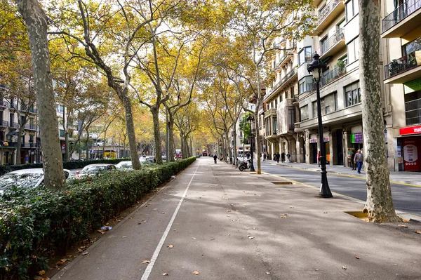 Barselona Caddesi, İspanya — Stok fotoğraf