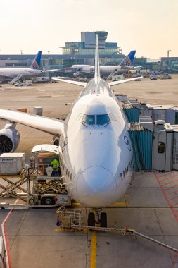 Lufthansa uçağı Frankfurt Havaalanı'na demirledi