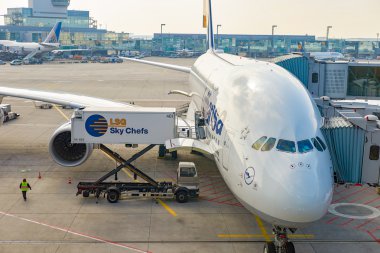 Lufthansa uçağı Frankfurt Havaalanı'na demirledi