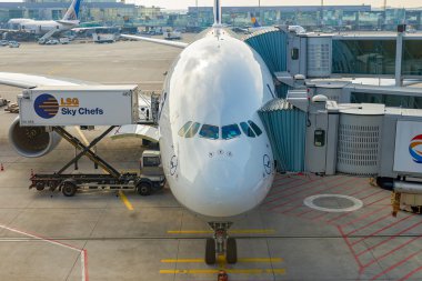 Lufthansa uçağı Frankfurt Havaalanı'na demirledi