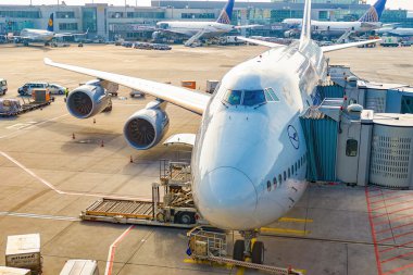 Lufthansa uçağı Frankfurt Havaalanı'na demirledi