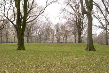 New York 'taki Central Park