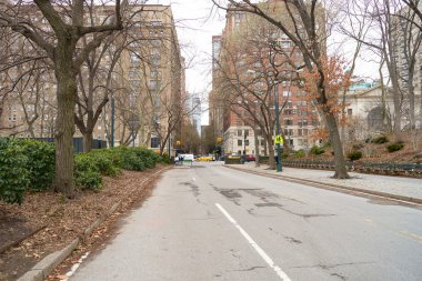 New York 'taki Central Park