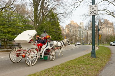 New York 'taki Central Park