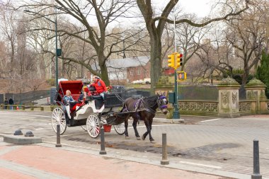 New York 'taki Central Park