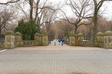 New York 'taki Central Park
