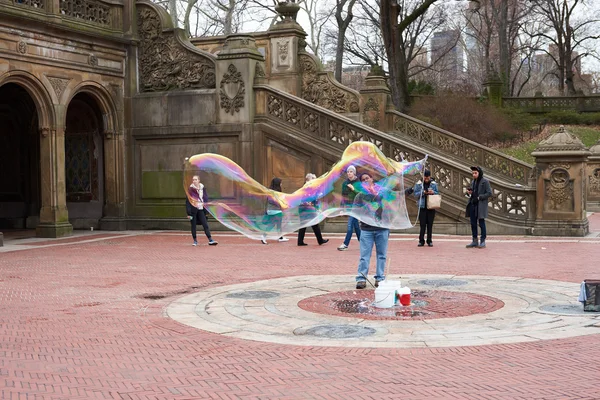 Central Park a New York — Foto Stock