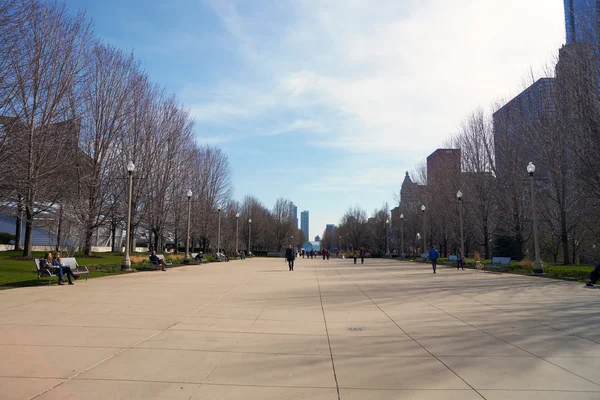 Parque Millennium durante el día —  Fotos de Stock