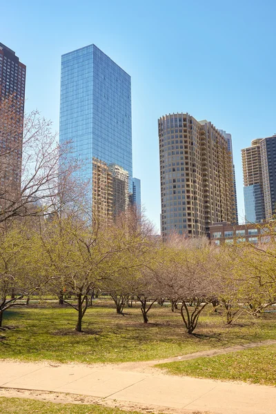 Pohled na Chicagské mrakodrapy — Stock fotografie