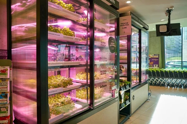 Berlin Germany Circa September 2019 Interior Shot Edeka Sapphire Supermarket — Stock Photo, Image
