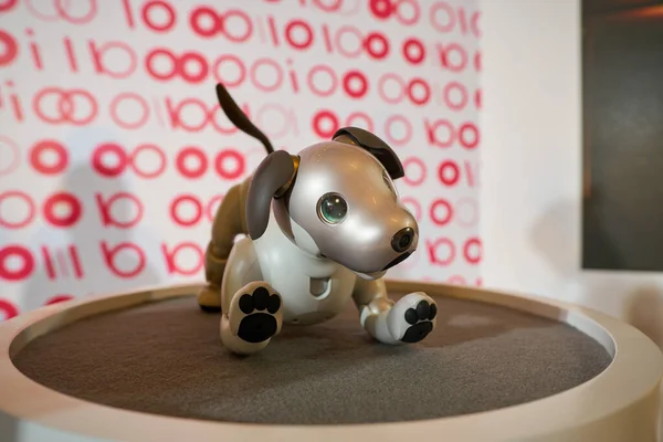 Shenzhen China Circaエイプリル社 2019 深センのUpperhillsモールで開催されたSony Expo 2019でソニーのアイボロボット犬のクローズアップ — ストック写真