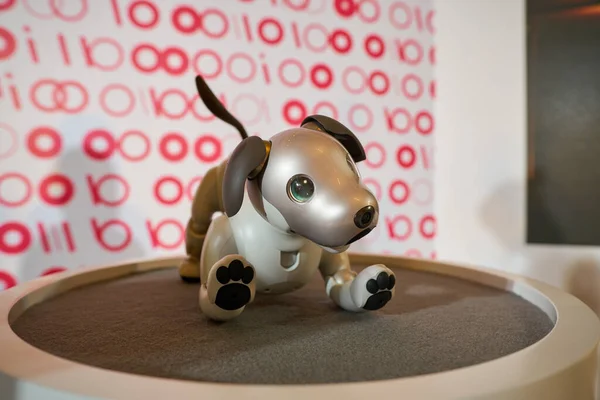SHENZHEN, CHINA - CIRCA APRIL, 2019: close up shot of Sony's Aibo robot dog at Sony Expo 2019 at UpperHills Mall in Shenzhen, China. — Stock Image Shenzhen China Circa April 2019 Close Shot Sony Aibo Robot Stock Picture