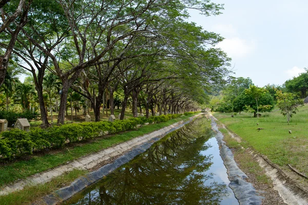 Parque tropical — Fotografia de Stock