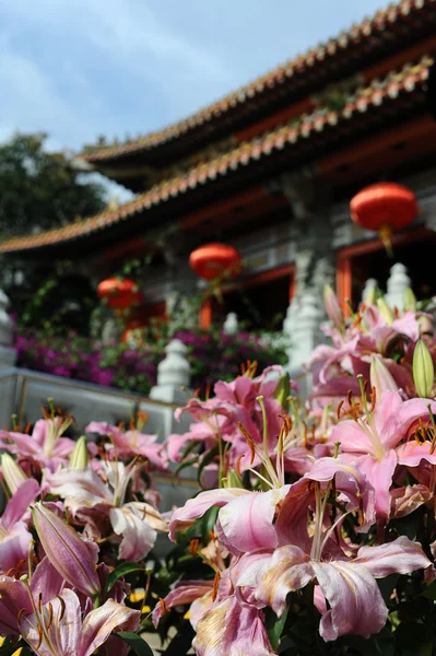 Flores rosadas cerca del templo budista — Foto de Stock