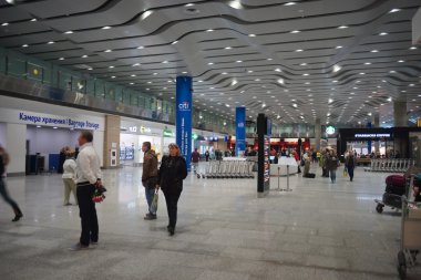 Pulkovo Havalimanı İç