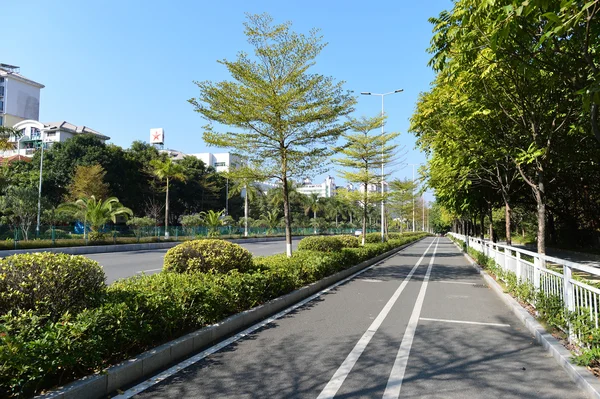 Shenzhen sokak şehir