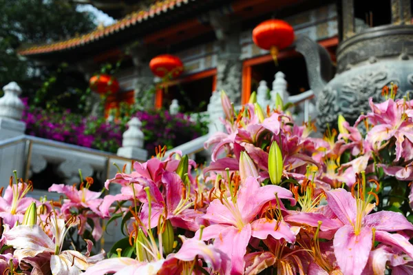 Roze bloemen in de buurt van boeddhistische tempel — Stockfoto