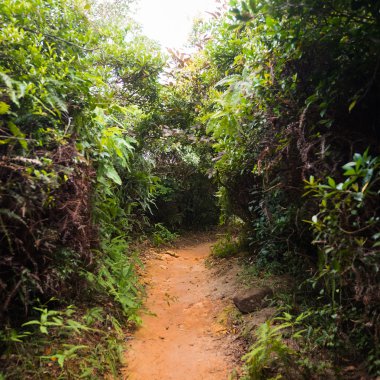 Hong Kong dağların üzerinde iz