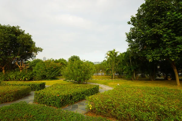 Park gebied in Shenzhen — Stockfoto