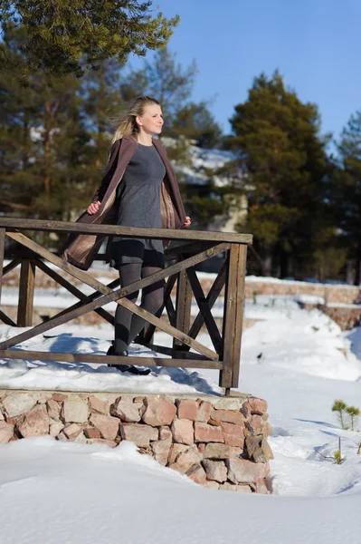 Mujer en el parque de invierno —  Fotos de Stock