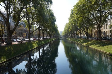Yeşil ağaçlar Dusseldorf sokakları