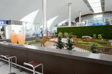 Dubai Uluslararası Havalimanı İç