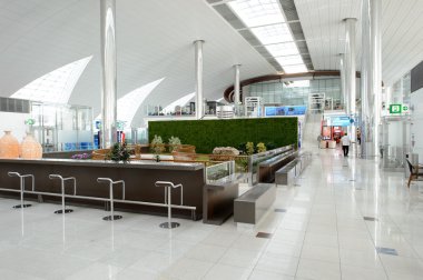 Dubai Uluslararası Havalimanı İç