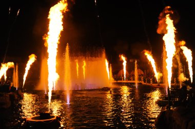 Fire show in Ocean Park