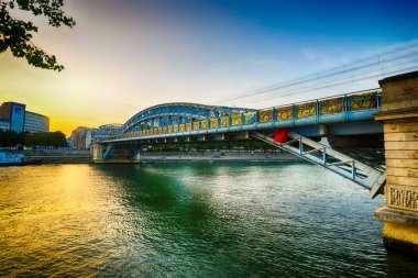 Evening Paris downtown