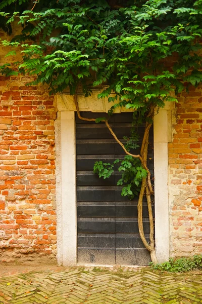 House closed door — Stok fotoğraf