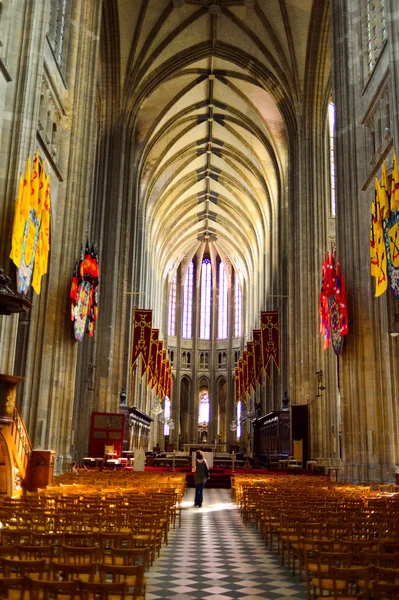 Orleans Cathedral interior — Φωτογραφία Αρχείου
