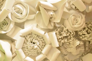 beyaz çiçekler arka plan