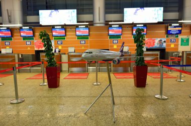 Sheremetyevo Uluslararası Havaalanı