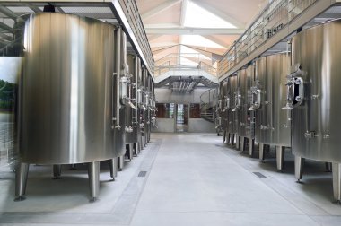 Modern wine factory interior