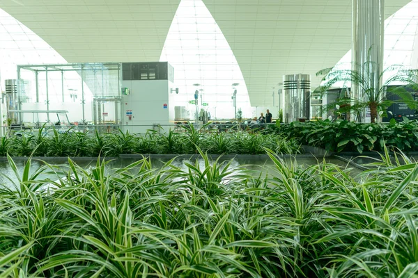 Dubai international Airport interior — Stock Photo, Image