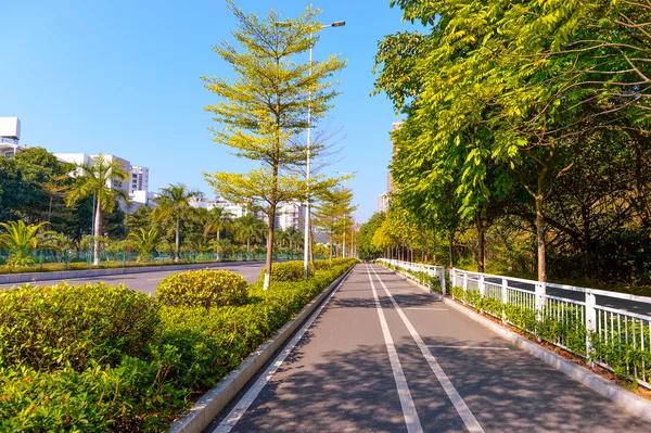 Calle de la ciudad en ShenZhen — Foto de Stock