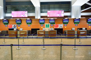 Sheremetyevo Uluslararası Havaalanı