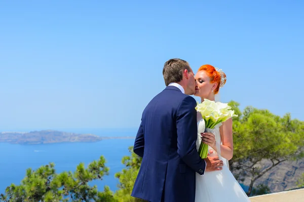 Bride and groom celebrate wedding — Stock Photo, Image