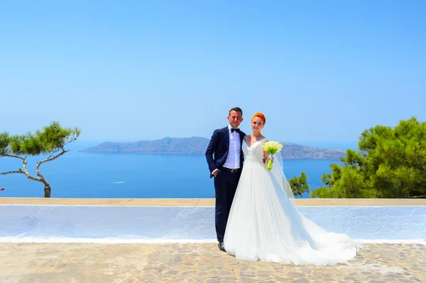 Bride and groom celebrate wedding — Stock Photo, Image