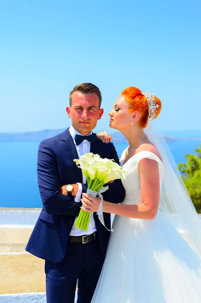 Bride and groom celebrate wedding — Stock Photo, Image