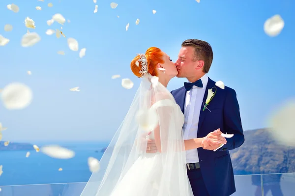 Sposa e sposo celebrare il matrimonio — Foto Stock