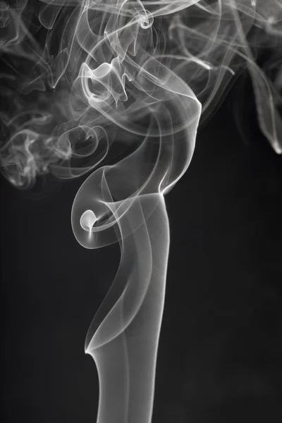 innere Organe - Milz — Stockfoto © Spectral #27364483