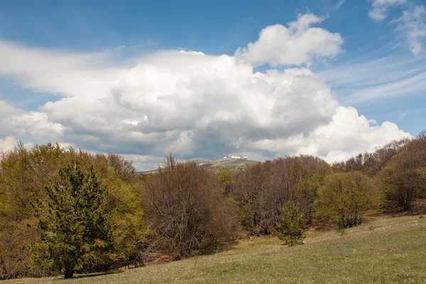 Spring landscape in Crimea — Stock Photo, Image