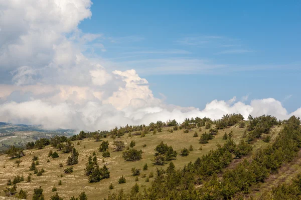 Spring sunny landscape — Stock Photo, Image