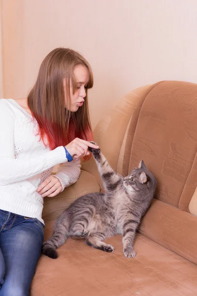 女孩和猫一起玩 — 图库照片